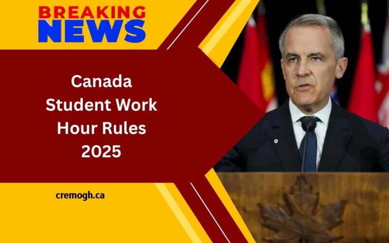Canada Student Work Hour Rules 2025- Everything You Need To Know About Eligible Working Hours